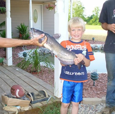 Brandon Holley Catfish